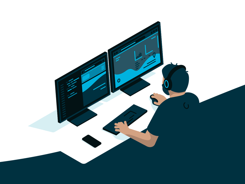 Developer Coding Animation